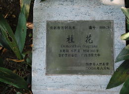 イメージ 32